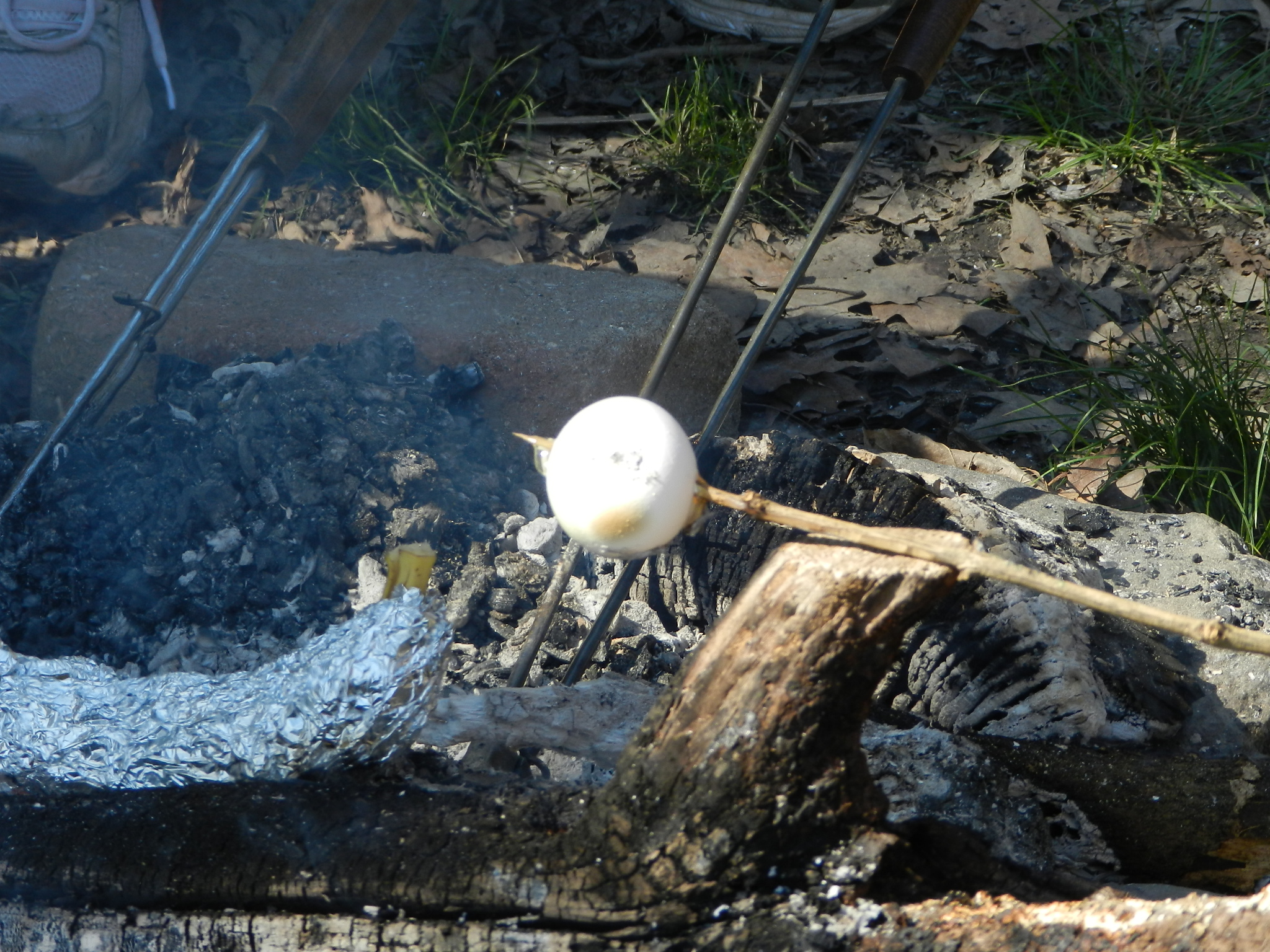 Egg_campfire.JPG